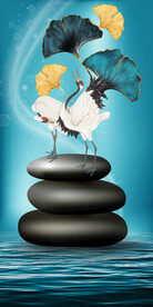 松鹤年延轻奢玄关