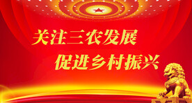 乡村振兴