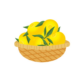 手绘黄金贡柚