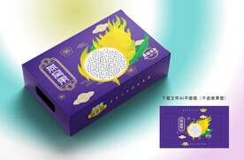 燕窝果包装 