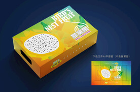 燕窝果包装 