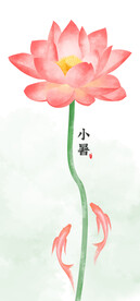 夏日荷花