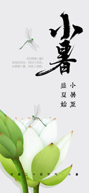 小暑图片