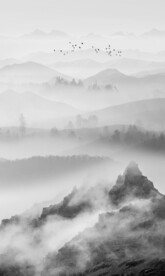竖幅水墨画