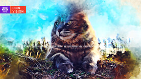 猫