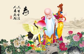 老寿星