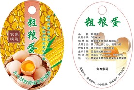 玉米粗粮蛋