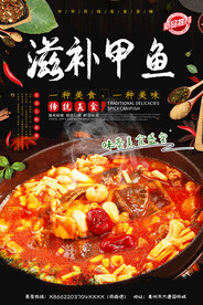 滋补甲鱼