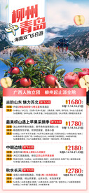 青岛旅游计划总表