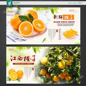 橙子