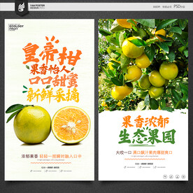 皇帝柑