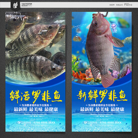 罗非鱼