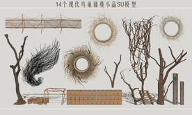 鸟巢藤蔓小品