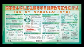 国家基本公共卫生服务