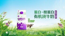 蓝天草地有机牛奶海报