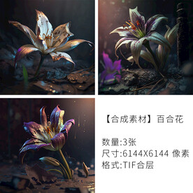 百合花