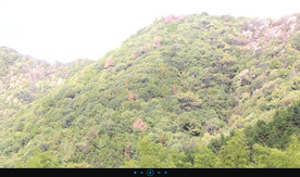 山头美景