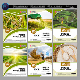大米展板