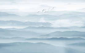 新中式意境水墨画背景墙