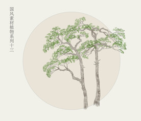 国画植物系列