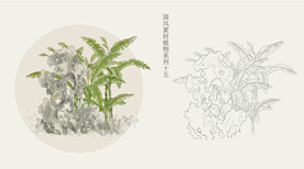 国画风植物