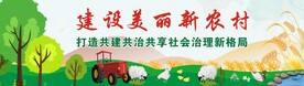 美丽农村
