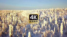 雪原林海美景
