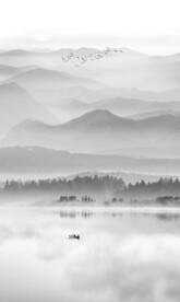 竖幅山水画