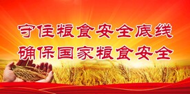 粮食安全