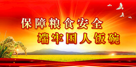 粮食安全