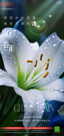 地产谷雨刷屏稿