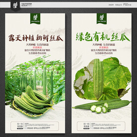 丝瓜