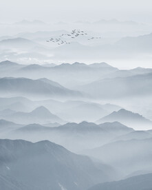 竖幅水墨画