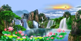 荷花风景