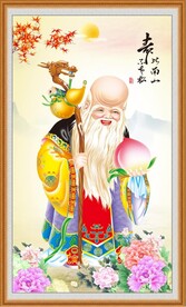 老寿星