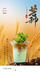 芒种