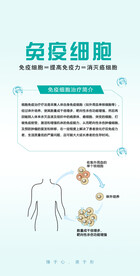 免疫细胞