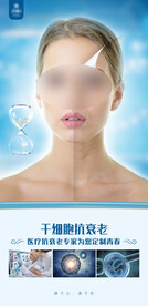 干细胞