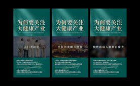 大健康招商