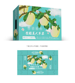 日本苹果包装