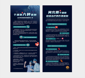 干细胞