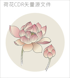 原创插画