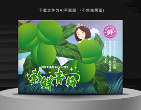 青梅礼盒 