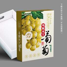 马斯卡丁葡萄