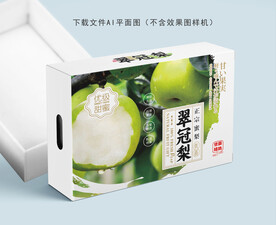 翠冠梨设计