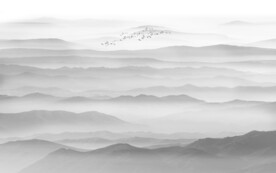 新中式禅意山水画