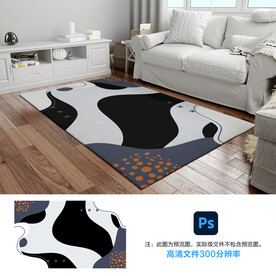 简约轻奢抽象地毯脚垫