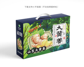 大黄姜设计