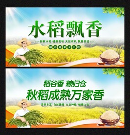 水稻