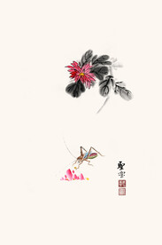 菊花小昆虫